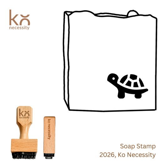 Turtle 3